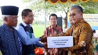 NEWS KKP Memberikan Bantuan 5 ton Pakan Ikan dan 5 Juta Benih Ikan [upl. by Baudelaire994]