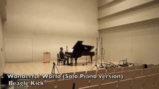 Wonderful World Solo Piano version DSD 56MHz1Bitレコーディング風景 short ver [upl. by Haimerej]