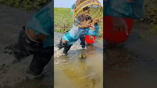 New Best Polo Fishing Video 2024 part12 polo fishingvideo shorts shortsvideo shortsfeed [upl. by Ahsekram]