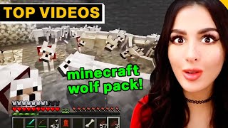 Most Epic Gaming Moments  SSSniperWolf [upl. by Husha]