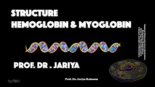 HEMOGLOBIN MYOGLOBIN STRUCTURE [upl. by Iggy]