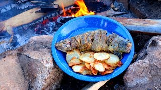 Catching amp Cooking Wild Trout Fish n’ Chips Over a Fire [upl. by Samala]