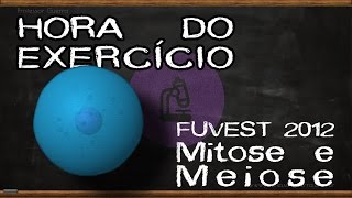 Mitose e meiose  FUVEST 2012 [upl. by Ylelhsa]