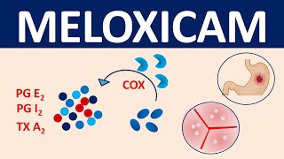 Meloxicam  Mechanism precautions side effects amp uses [upl. by Lotte271]