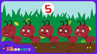 The Ants Go Marching  The Kiboomers Preschool Songs amp Nursery Rhymes for Counting [upl. by Naruq]