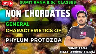 Phylum Protozoa General Characteristics  Non Chordates [upl. by Yadsnil542]