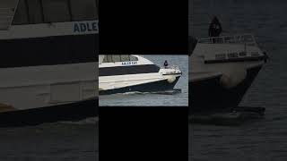 HIGH SPEED CATAMARAN quotADLER CATquot shorts shipspotting ship [upl. by Byran]