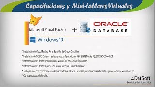 16 Insertar registro desde la ventana de comando vfp a Oracle [upl. by Tamarra]