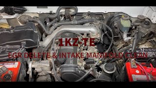 1KZTE EGR DELETE  TOYOTA PRADO HILUX SURF 4RUNNER HIACE [upl. by Drake]