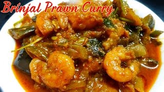 Brinjal with Prawn Curry Vankaya Pachhi Royyala Koora [upl. by Giulio]