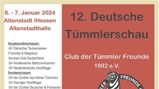 12 Deutsche Tümmlerschau  Teil 12 6  7 Januar 2024 [upl. by Eynaffit10]