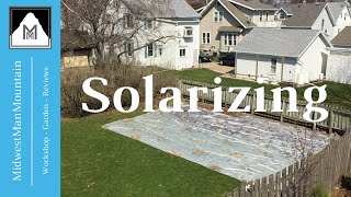 How to Solarize Your Garden for Weed Prevention [upl. by Ytisahc240]