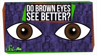 Do Brown Eyes See Better [upl. by Oidivo]