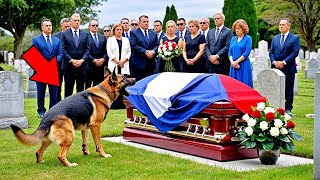 Le Chien Aboie Furieusement Devant le Cercueil de son Maître Quand Ils lOuvrent la Foule Crie [upl. by Qahsi]