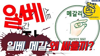 수어통역 일베 메갈 왜 싸울까 혐오문제 전문가 홍성수 교수 2편 [upl. by Werda]