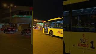 Ploiești Eurobus Diamond 3154 on line 731 [upl. by Stanwin444]