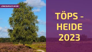 Die Töps Heide während der Heideblüte  LÜNEBURGER HEIDE 4K [upl. by Etiuqal782]