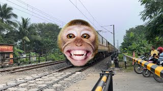 Dangerous Angry Monkey Headed Teesta Torsa Express Smoothly Skip Throughout Railgate [upl. by Norrie]