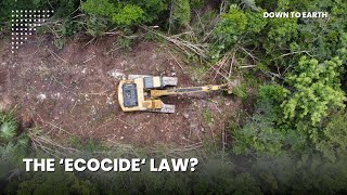 The global push to criminalise ecocide [upl. by Oppen]