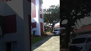 The Holy Spirit Adoration Convent Catalunan Grande Davao City ytshorts convent [upl. by Ber]