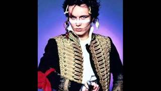 Adam Ant Interview 2013 [upl. by Atnohsal]