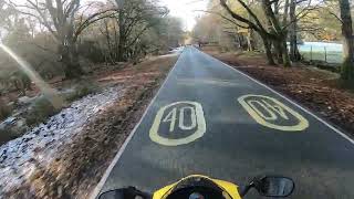 The New forest November with snow [upl. by Yeltrab]