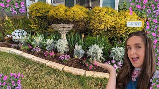 Planting Up My Front Garden Border With Supertunia Vista Jazzberry amp Verbena provenwinners [upl. by Ykvir]