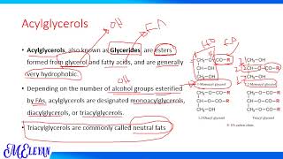 Lipid Chemistry Simple lipids [upl. by Adnilasor]