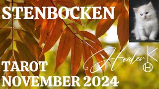 Stenbocken ♑️ November 2024 Tarot  Healer K [upl. by Gnek]