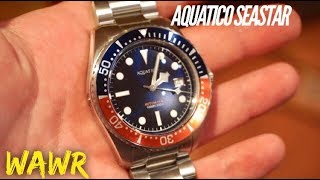 Aquatico Sea Star 300M Automatic Dive Watch Review  Tudor Pepsi GMT Alternative [upl. by Salkcin691]