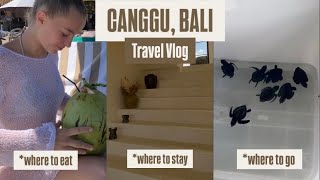 BALI VLOG  where to go and what to see in CANGGU [upl. by Stark]