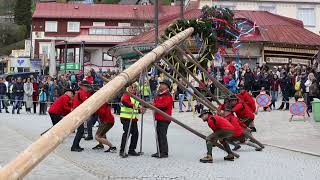 Maibaumaufstellen Mariazell 1 Mai 2019 [upl. by Carisa417]