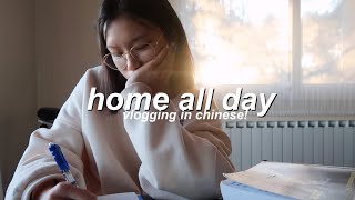 VLOG IN CHINESE  a day spent at home [upl. by Gabriell]