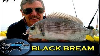 How to catch Black Bream  The Totally Awesome Fishing Show [upl. by Llertnad]