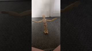 Manakin stop motion animation [upl. by Peppie]