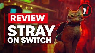 Stray Nintendo Switch Review  Is It Worth It [upl. by Nohsid]