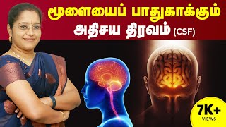 மூளையை பாதுகாக்கும் அதிசய திரவம் CSF  Intracranial Hypertension  Brain Health  Dr AVeni  Trichy [upl. by Neslund609]