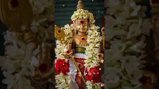 Alagendra Sollukku Muruga song Murugan WhatsApp status Tamil [upl. by Asel358]