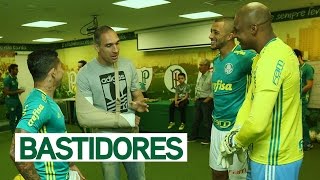 BASTIDORES  Palmeiras 2 x 1 Vitória  Brasileirão 2016 [upl. by Trinatte49]