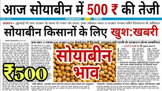 15 सितंबर 2024 aaj ka soybean bhav soyabean ka bhav soya ka rate soybean mandi bhavsoya plant [upl. by Bernat785]