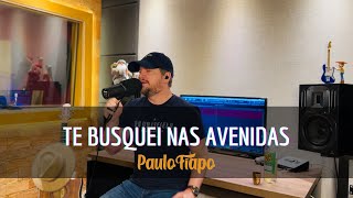 Te Busquei Nas Avenidas  Paulo Fiapo Cover [upl. by Nitsreik543]