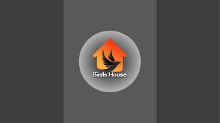 Birds House is live [upl. by Cati]