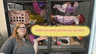 What You Need Before You Get Rats [upl. by Eciruam]