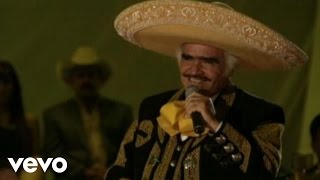 Vicente Fernández  Por un Amor En Vivo [upl. by Tartaglia523]