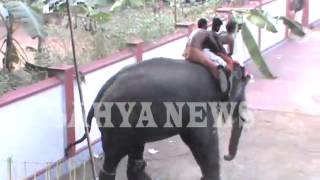 NILAMBUR VAILASHERI POORAM ELEPHENT ATTACK [upl. by Hnid]