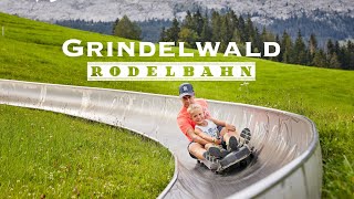 Grindelwald Rodelbahn  Toboggan ride  Switzerland 4K 60fps video [upl. by Alyehs349]