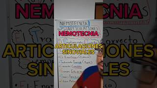 NEMOTECNIA  ARTICULACIONES SINOVIALES anatomiaveterinaria anatomia bajavets mvz artrologia [upl. by Alvy996]