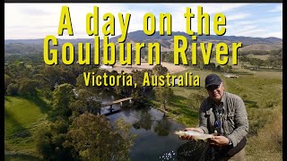 Flyfishing for Trout on the Goulburn River Victoria Australia [upl. by Gervais163]