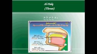 Tajweed for Beginners  Lesson 2  Makharij Theory [upl. by Nreval934]