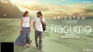 NAGUMO Song pranav mohanlalhridhyam songdrshana [upl. by Rein]